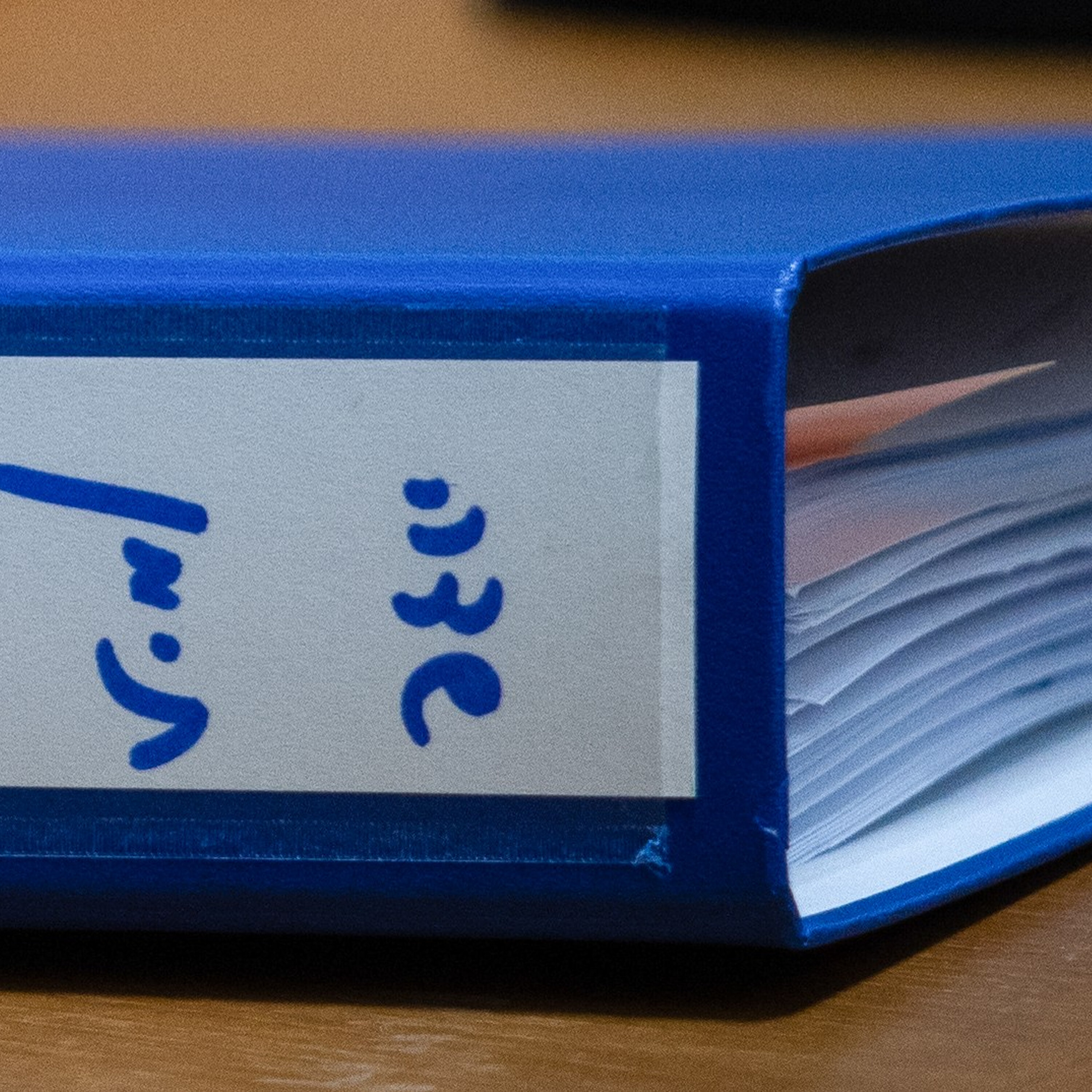 "החקירה היא שערורייה" "החקירה היא שערורייה"