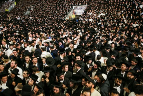 ממונה ההילולה במירון: "עושים הכל כדי שהשנה זה ייראה אחרת"