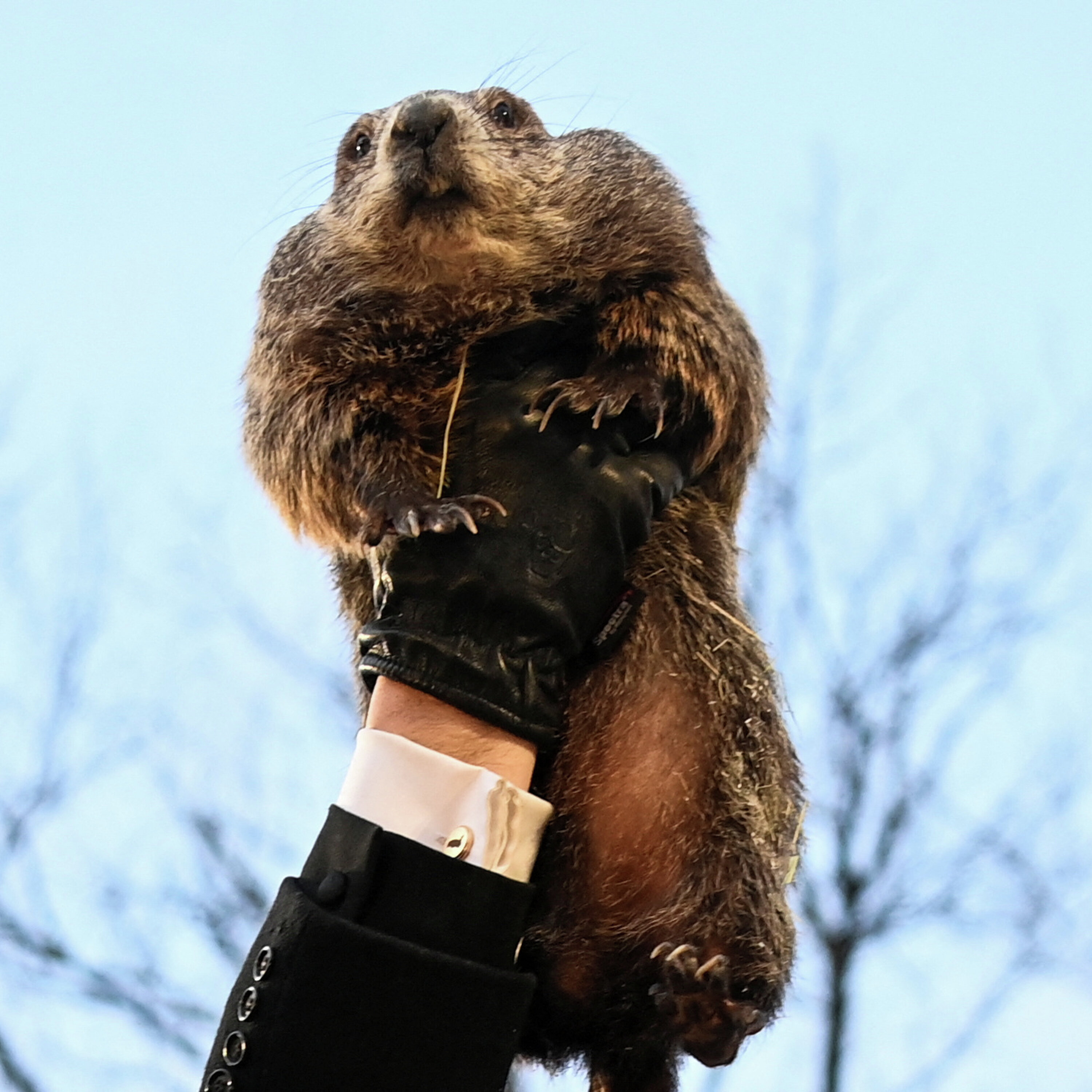 חגיגות יום המרמיטה חגיגות יום המרמיטה