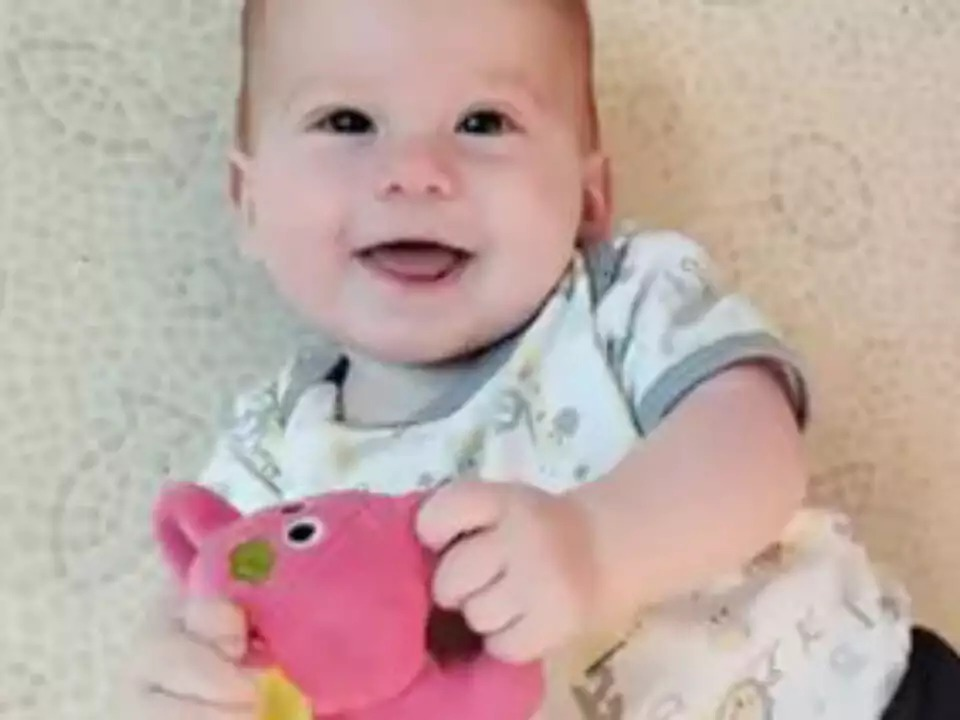 כפיר ביבס יחגוג יום הולדת שנה בשבי