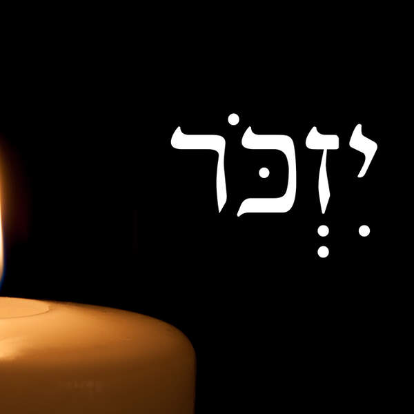 עמית לוי על הדסה מאיר