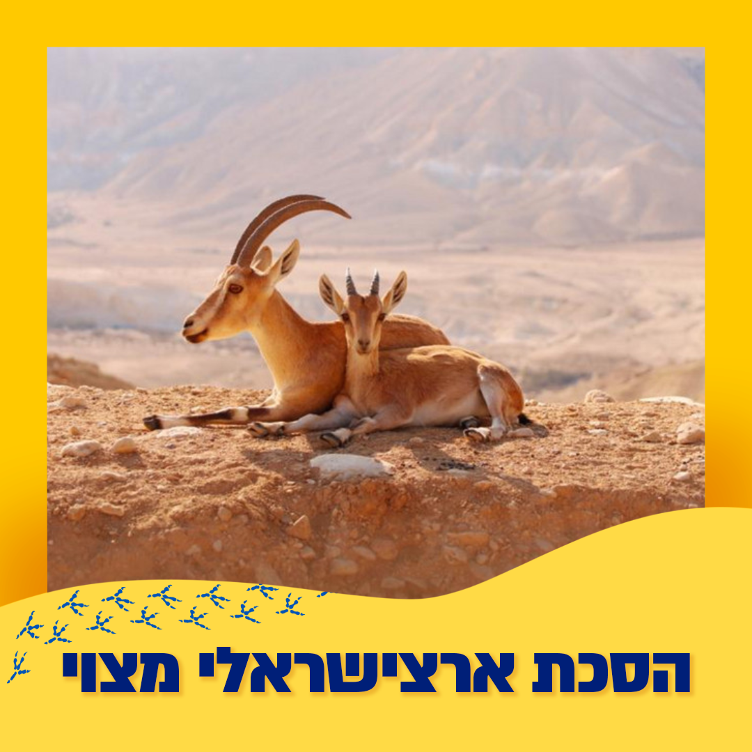 יעלים