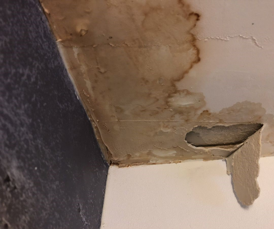 בגלל ליקויים בדירה: משפחת כהן מבקשת דירה חלופית | יהיה בסדר, 19.02.2025 episode artwork