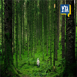 פצפונת ואורה