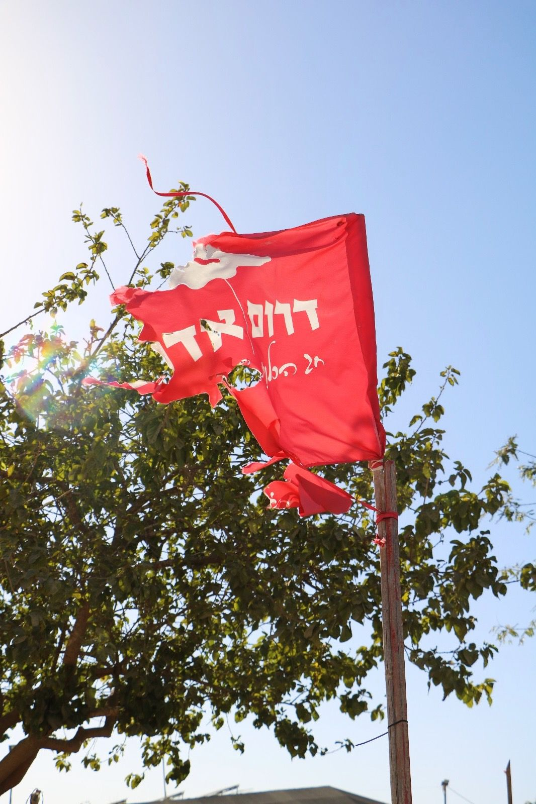 אומרים ישנה ארץ | 29.09.24 episode artwork