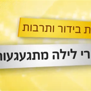נחום (נחצ'ה) היימן חלק א'