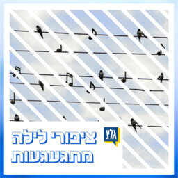 ציפורי לילה מתגעגעות - יגאל בשן חלק א'