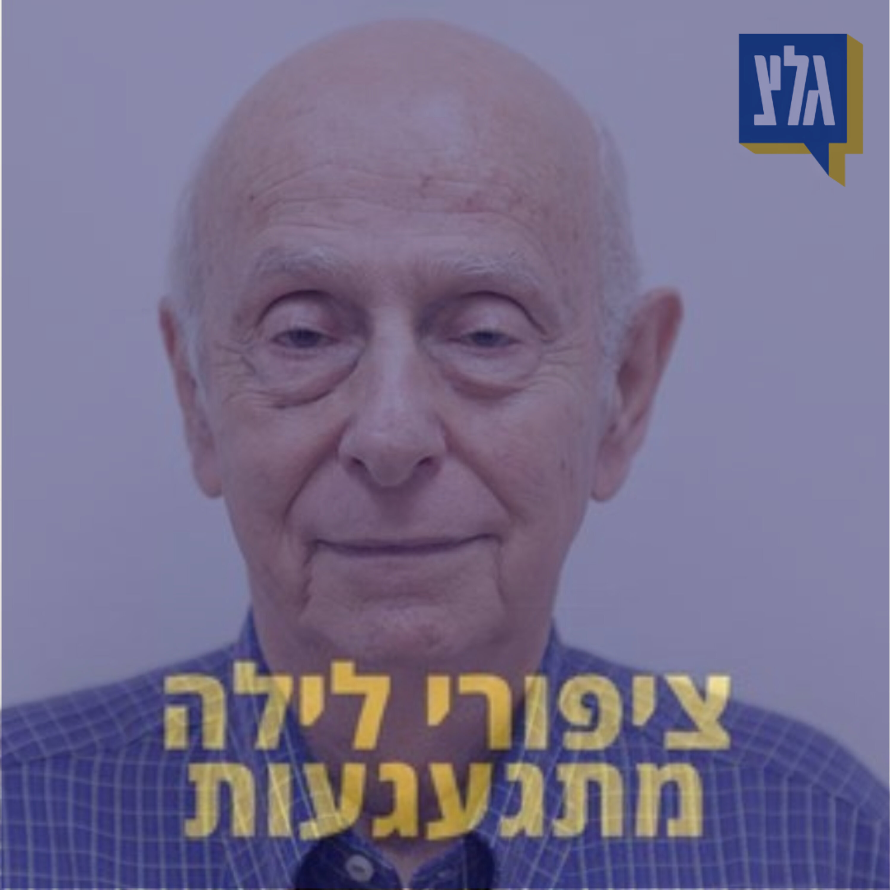 206 - שמואל ע. - מולי שפירא