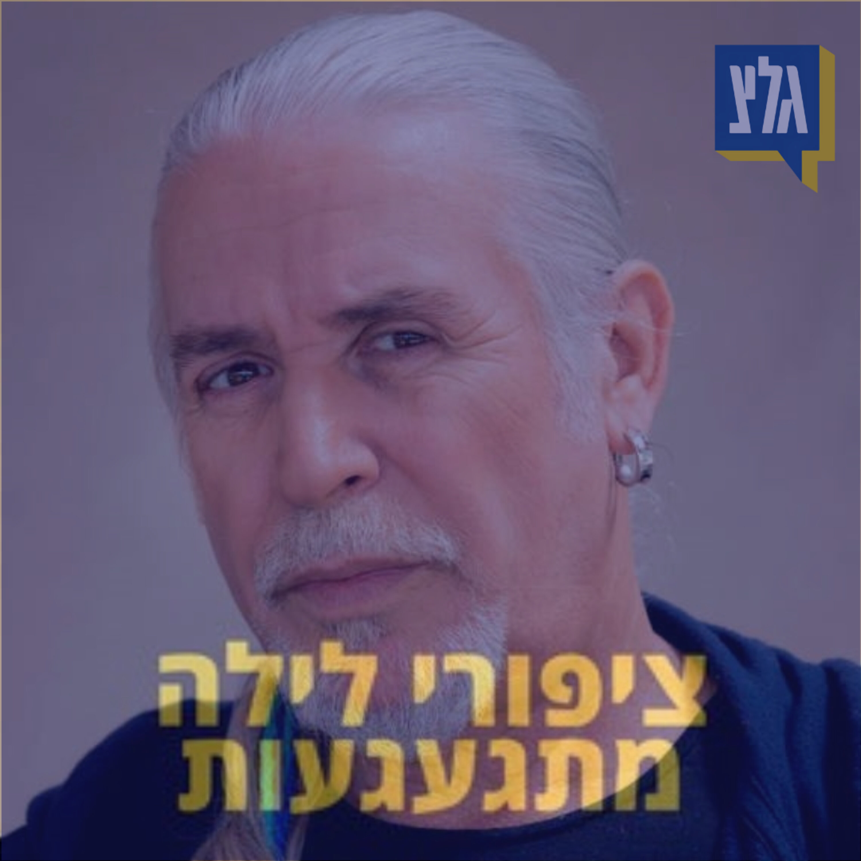 138 - שלמה גרוניך