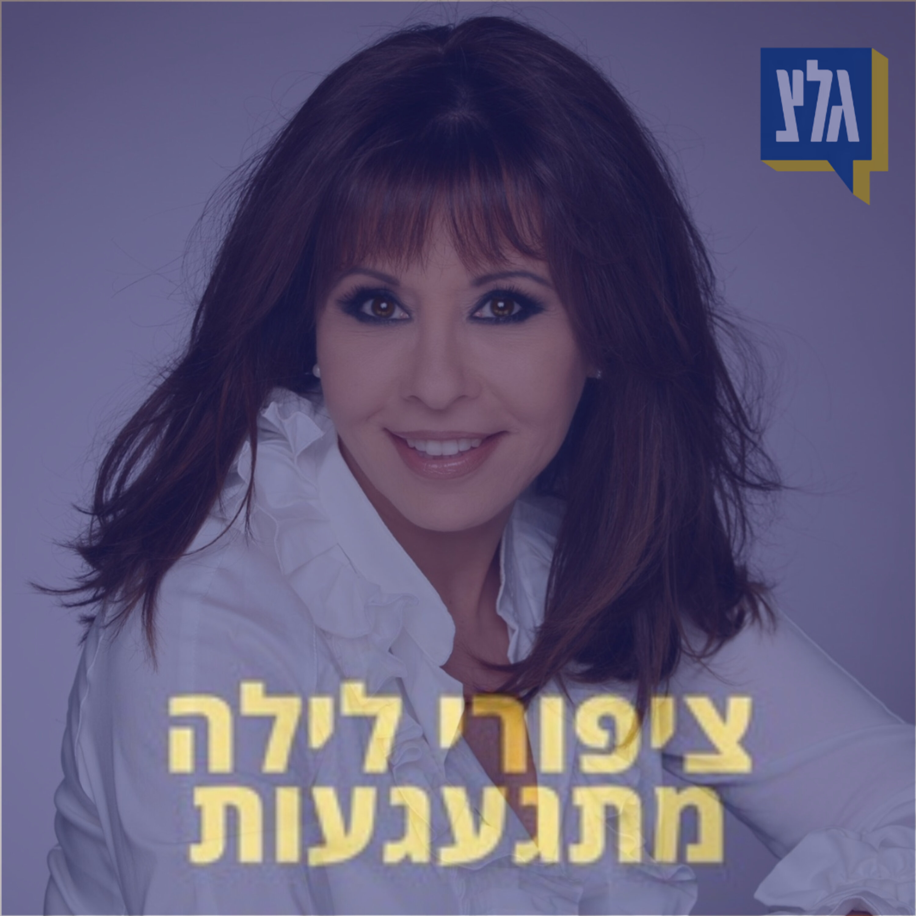 221 - יומולדת 70 לירדנה ארזי