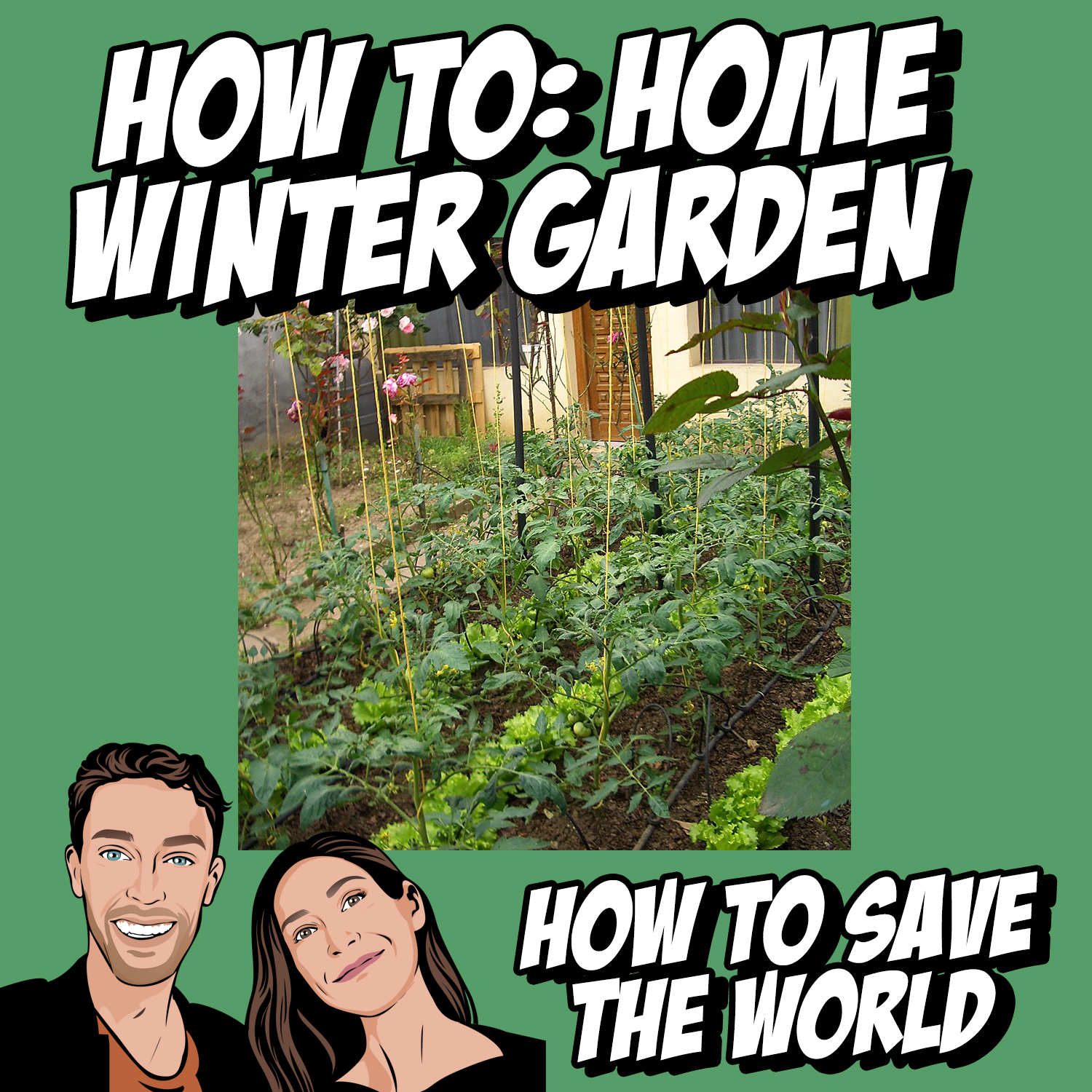 How To: Home Winter Garden