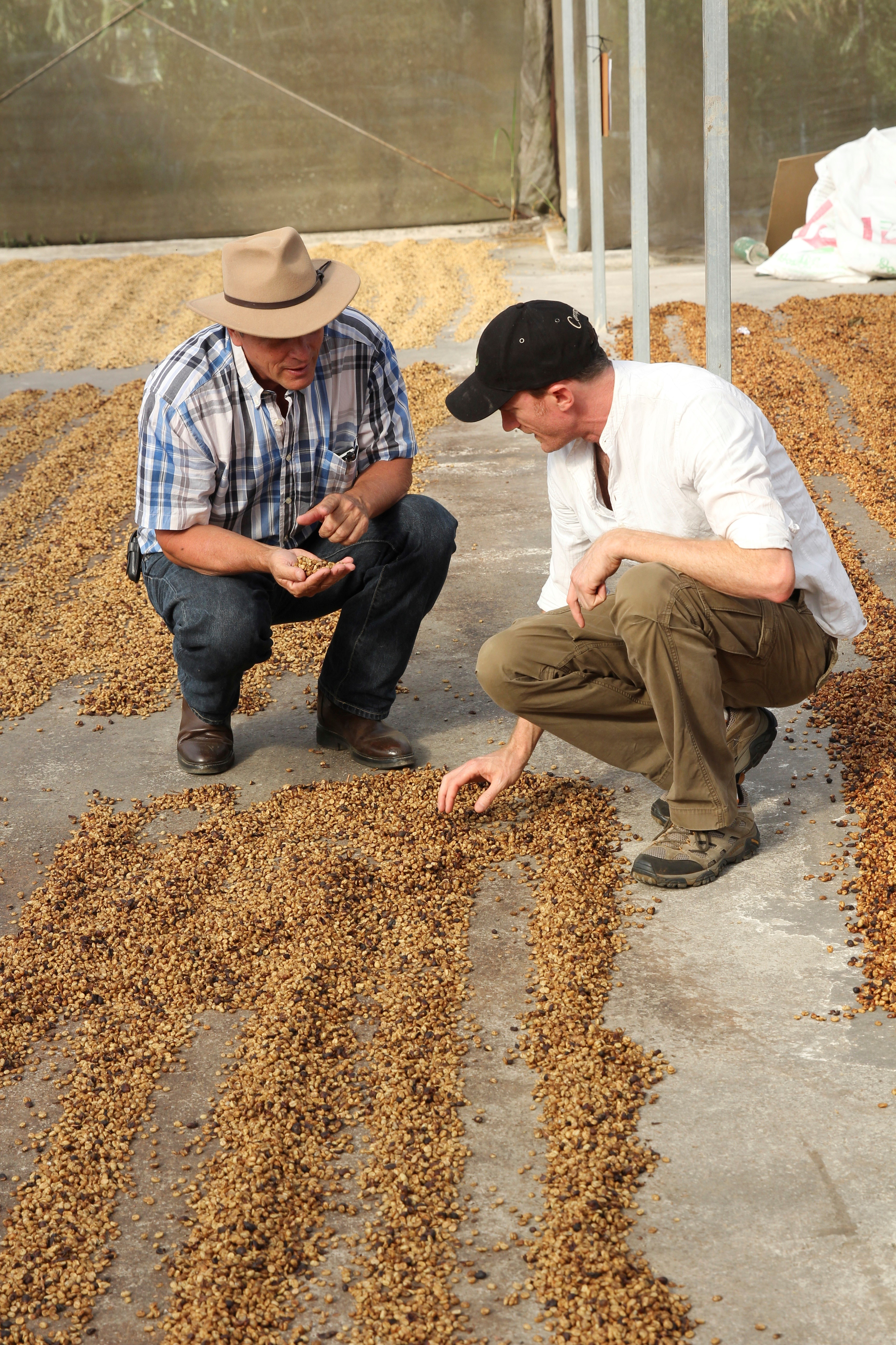 Will Young Founder & CEO Campos Coffee