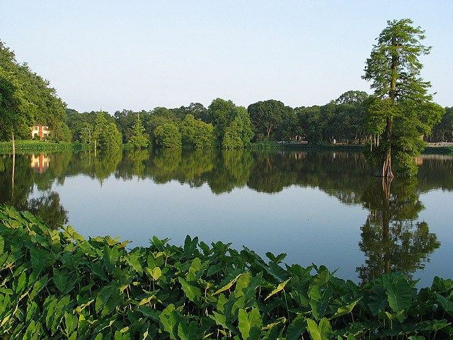 It\'s Baton Rouge: Out to Lunch