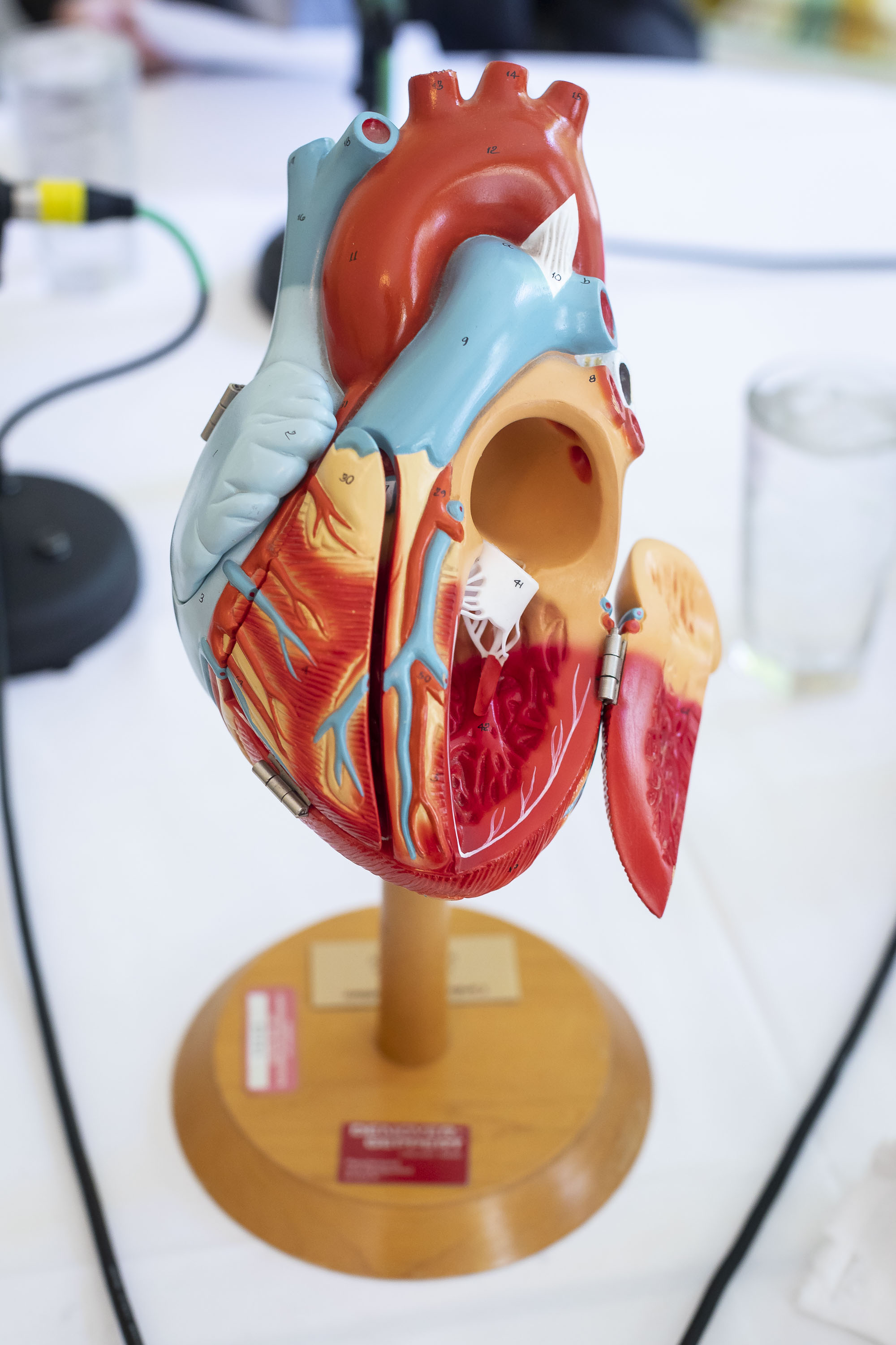 Matters of the Heart