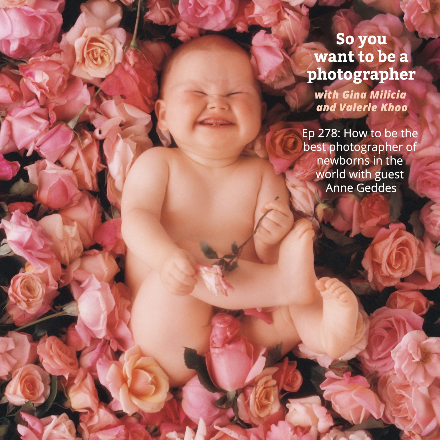 PHOTO 278: How to be the best photographer of newborns in the world with guest Anne Geddes