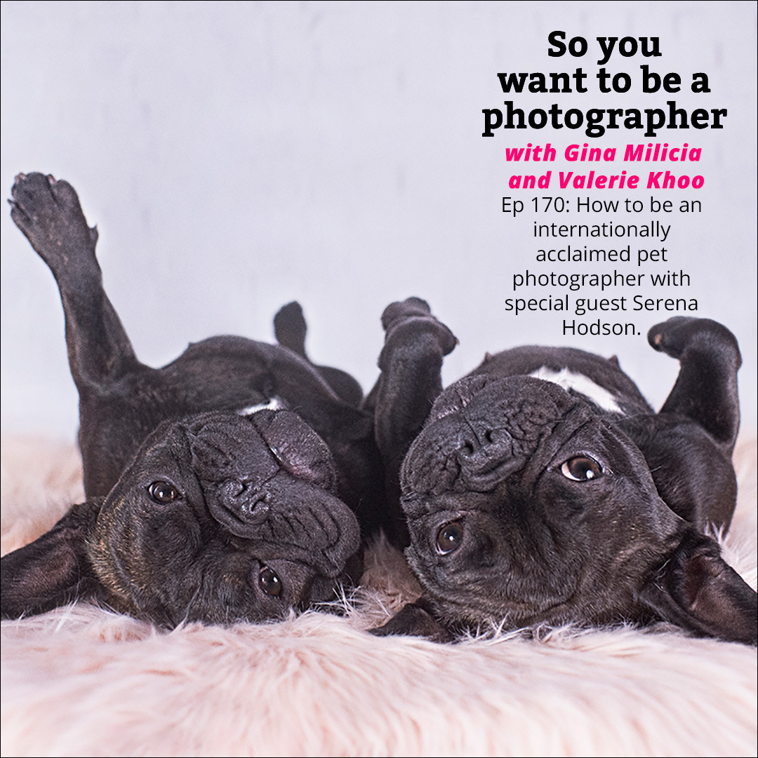 PHOTO 170: How to be an internationally acclaimed pet photographer with special guest Serena Hodson episode artwork