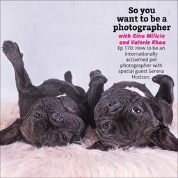 PHOTO 170: How to be an internationally acclaimed pet photographer with special guest Serena Hodson