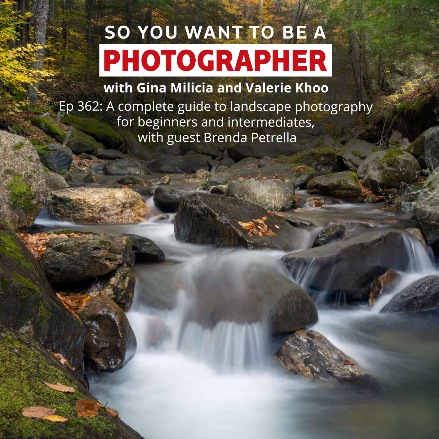 PHOTO 362: A complete guide to landscape photography for beginners and intermediates with guest, Brenda Petrella