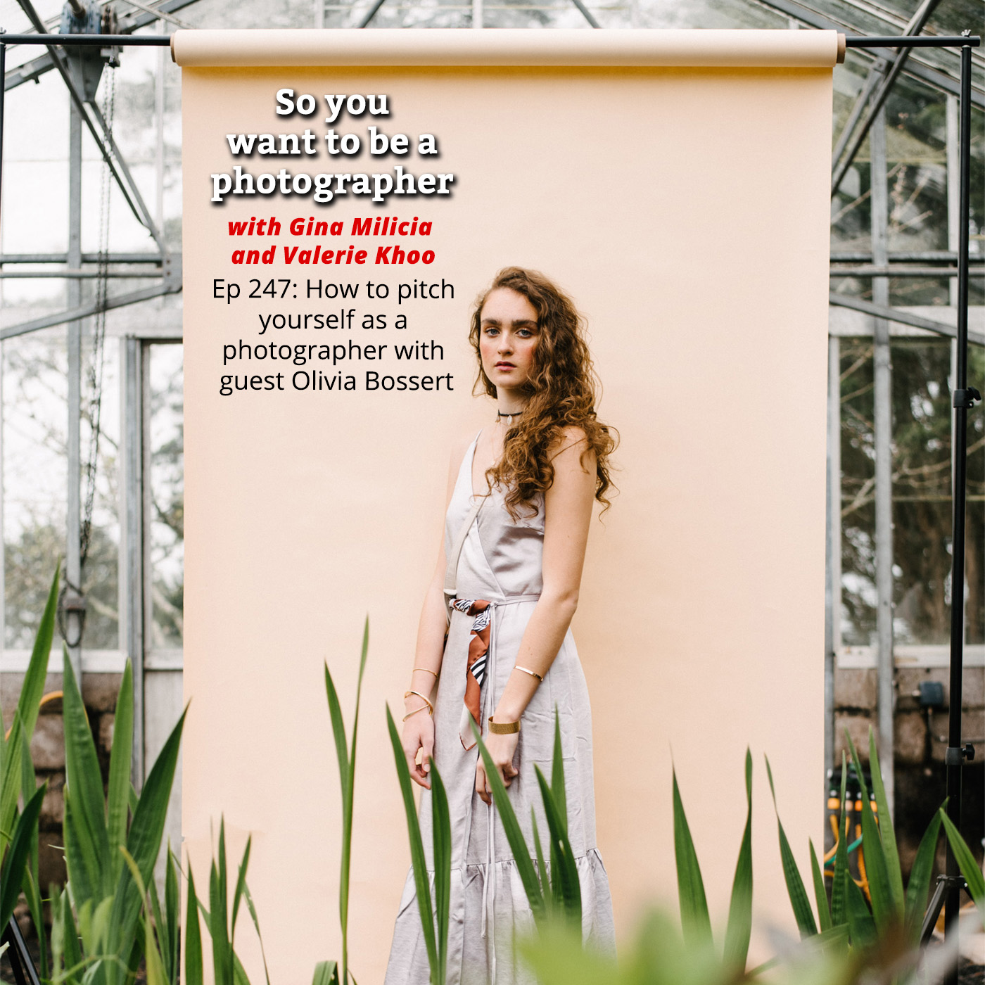So you want to be a photographer: Transform your skills and build a profitable photography business