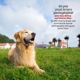 PHOTO 245: How to break into commercial animal photography with guest Jamie Piper
