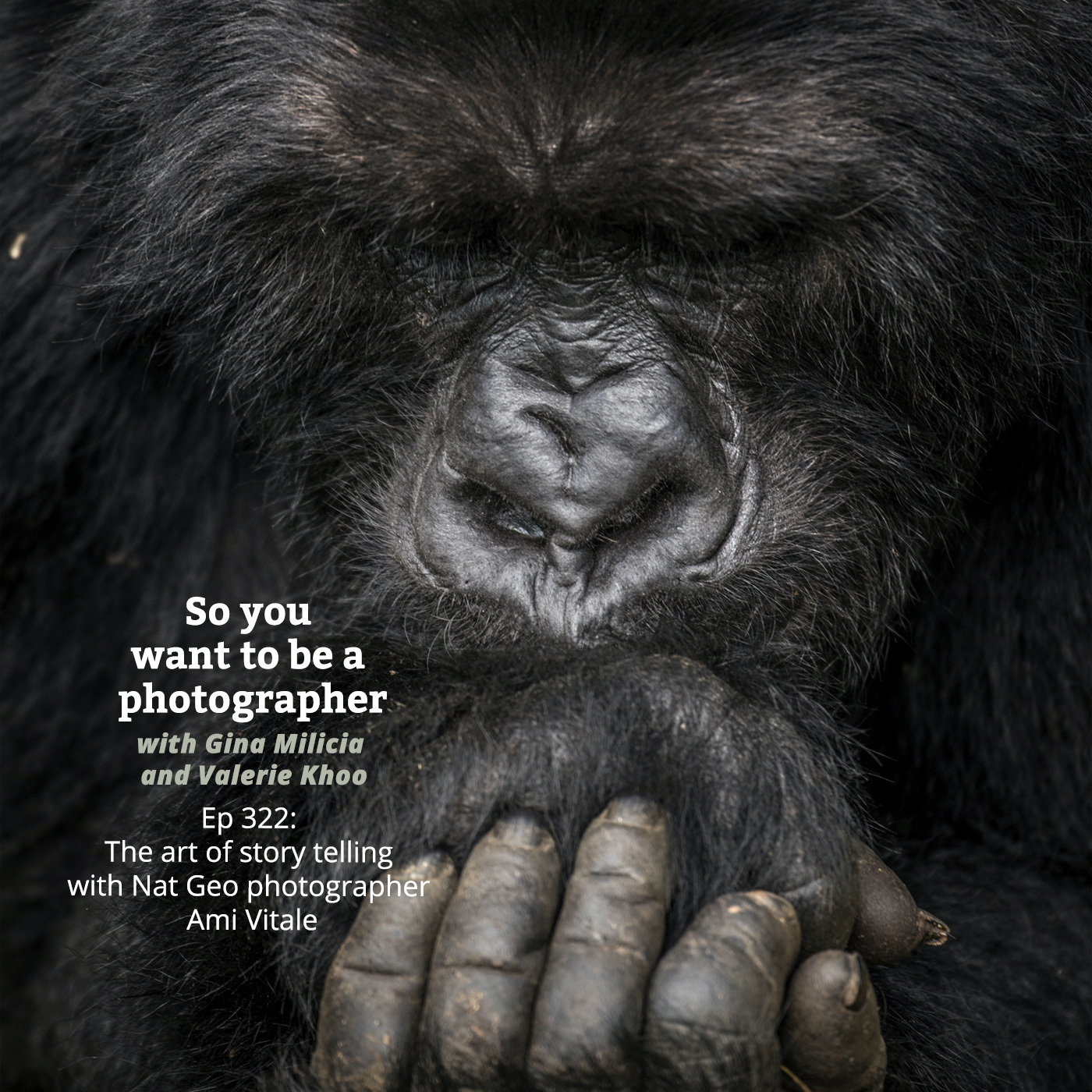 PHOTO 322: The art of storytelling with nat geo photographer Ami Vitale episode artwork