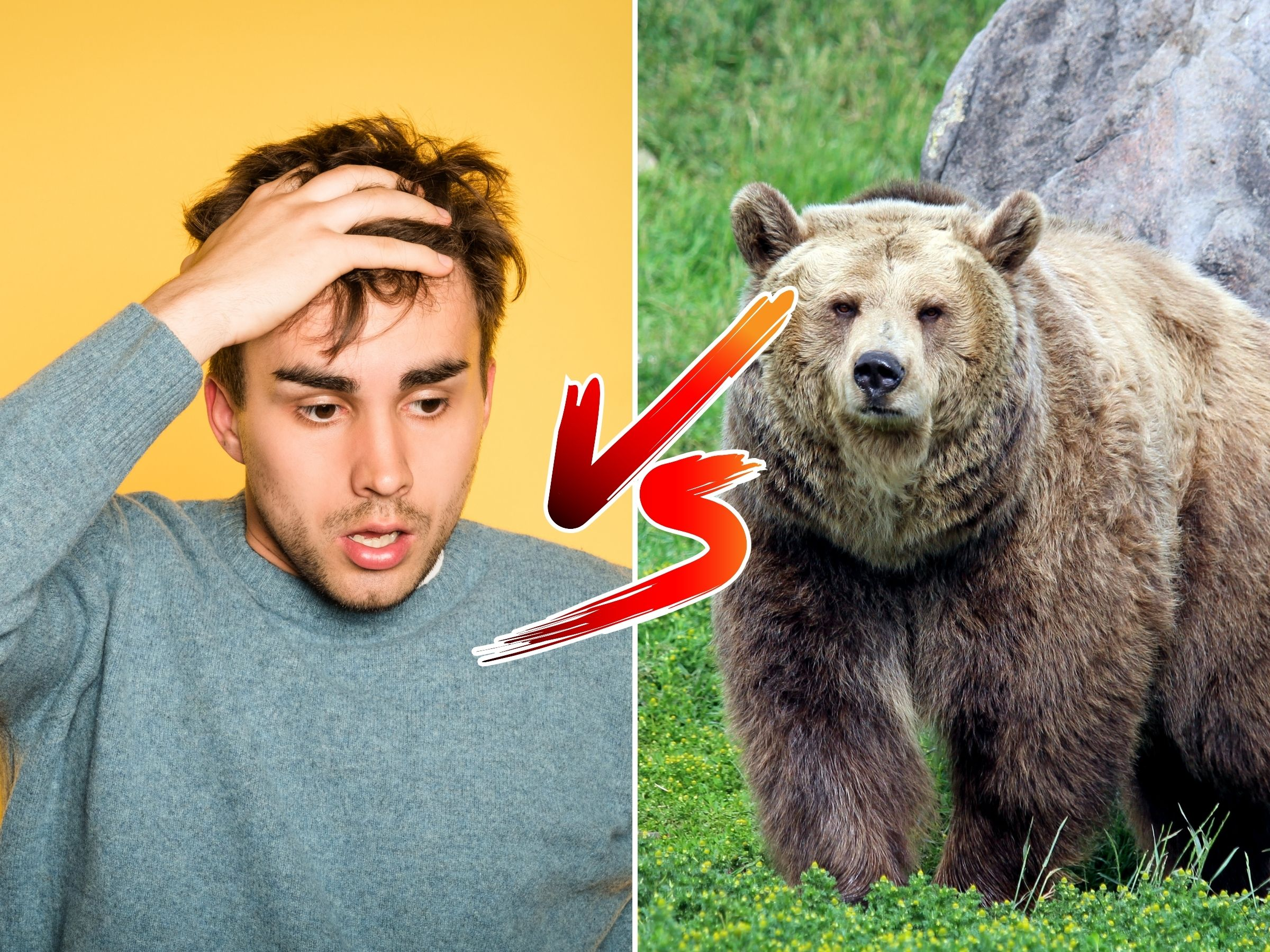 Would you rather be alone in the woods and come across a bear or a man?