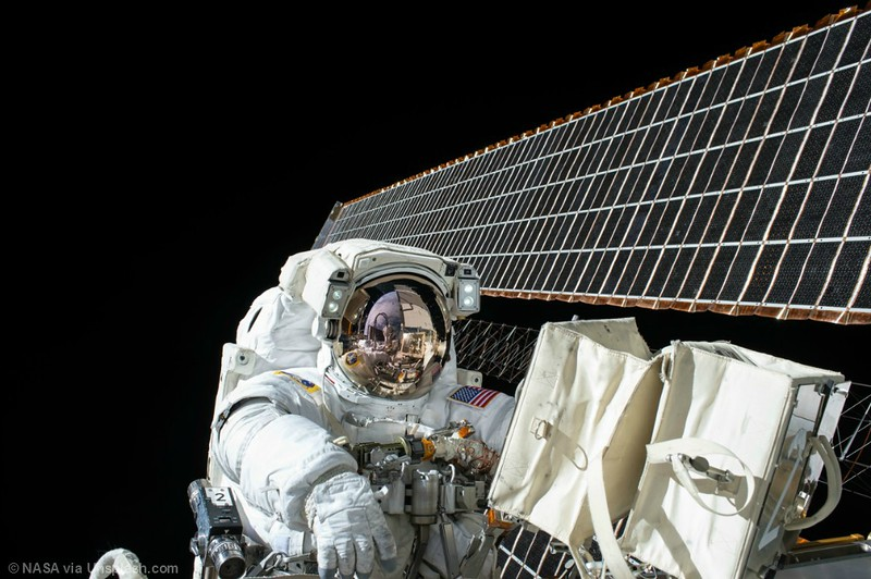 Growing Food in Space? Hear from Dr. Gary Stutte