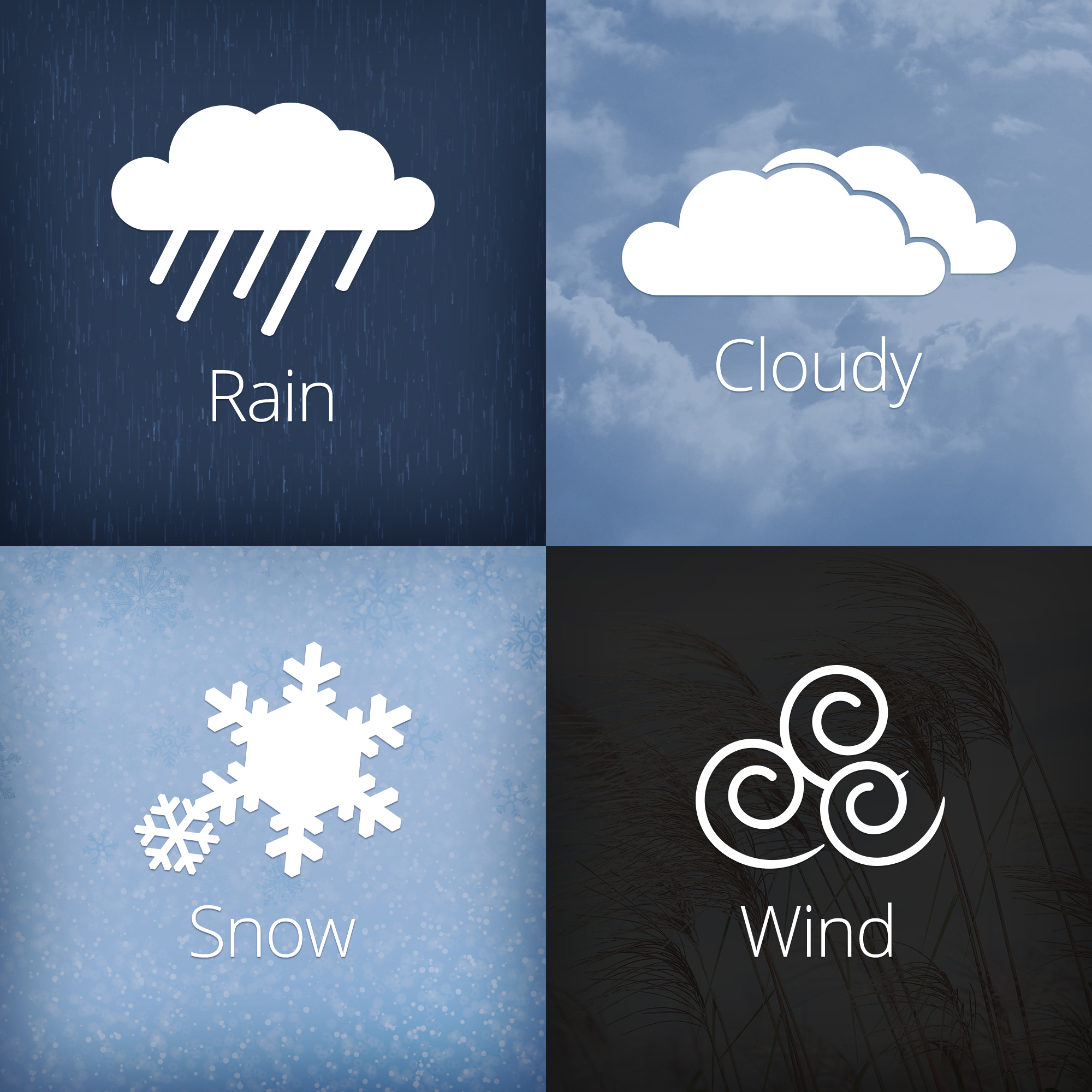 Too Tall Tom's Tidbits 