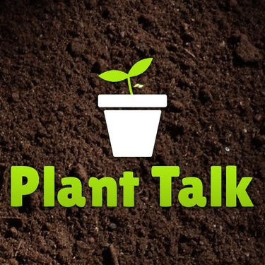 Plant Talk with Dave Decock - 1st Episode of 2024!