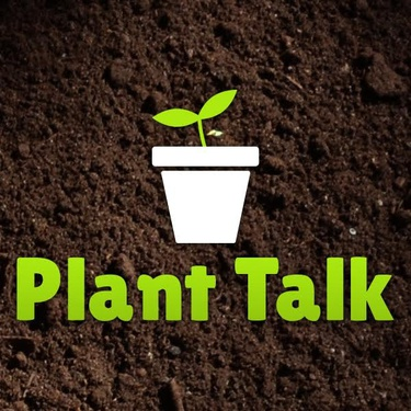 Plant Talk with Dave Decock (9/19/24) - Fall Reminders, Digging, Dividing, Wasps & More