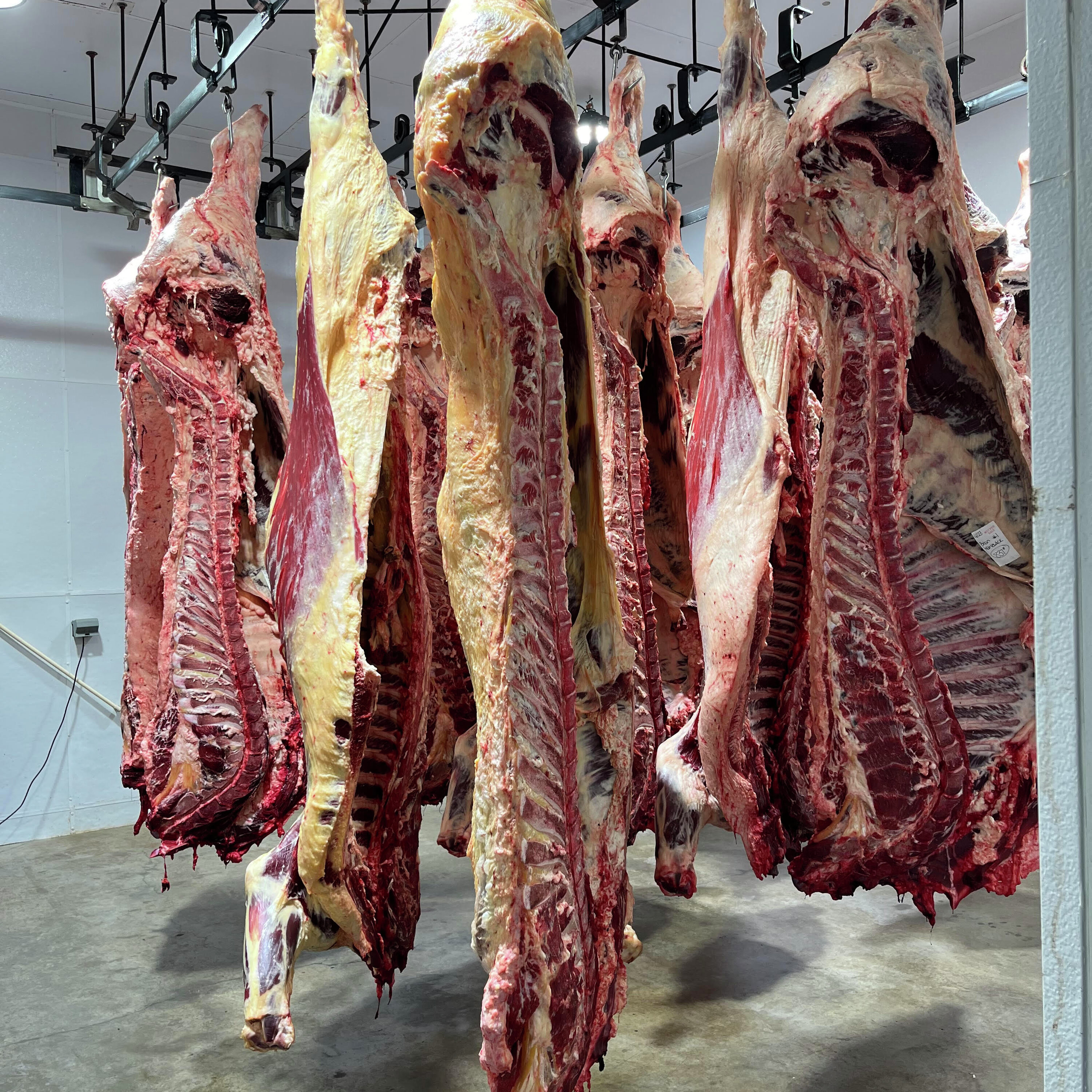 Mid-morning Ag News, June 23, 2026: A look at USDA meat price forecasts for June episode artwork