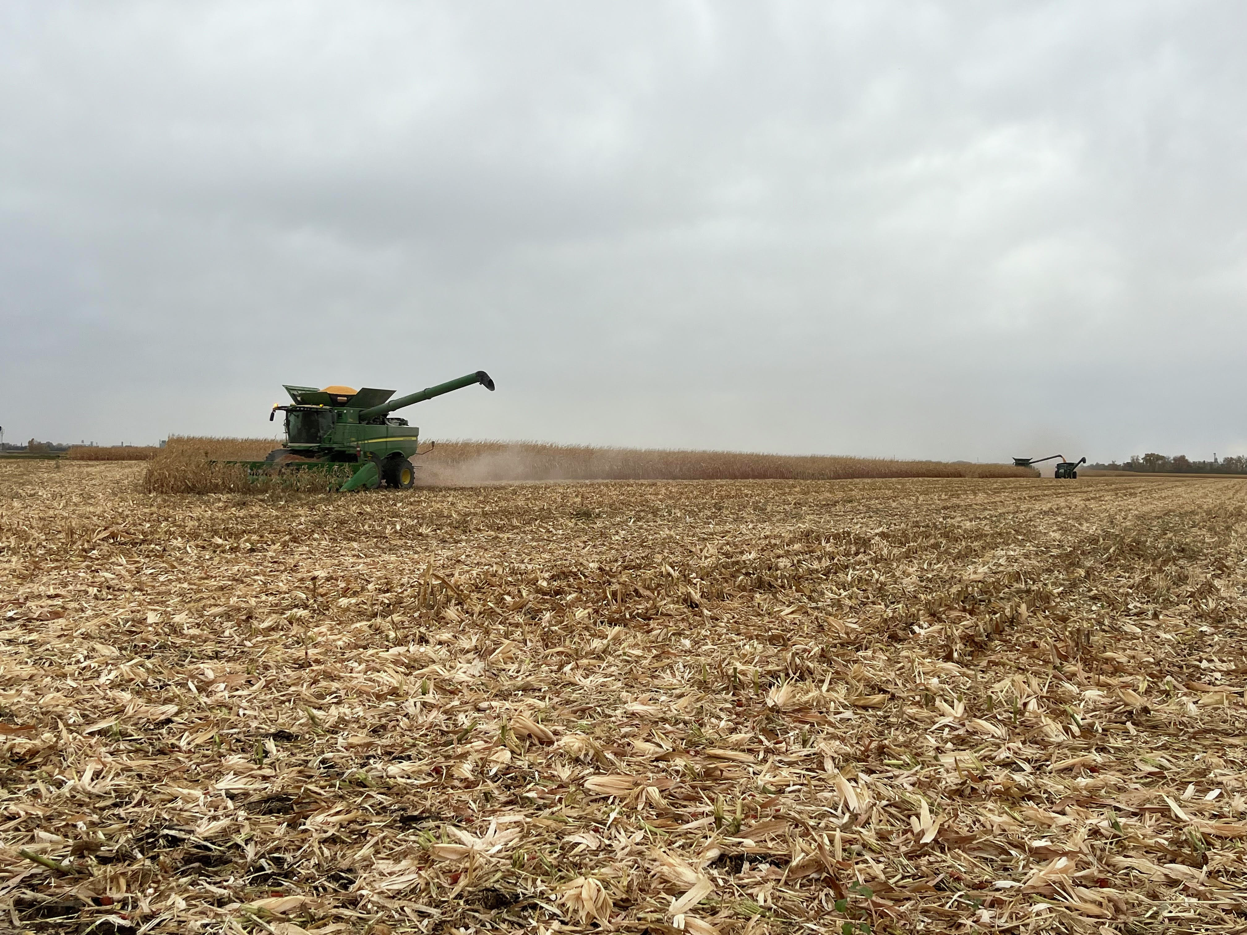 Mid-morning Ag News, October 21, 2026: Some areas in the Dakotas are finding very poor to poor corn crop conditions episode artwork