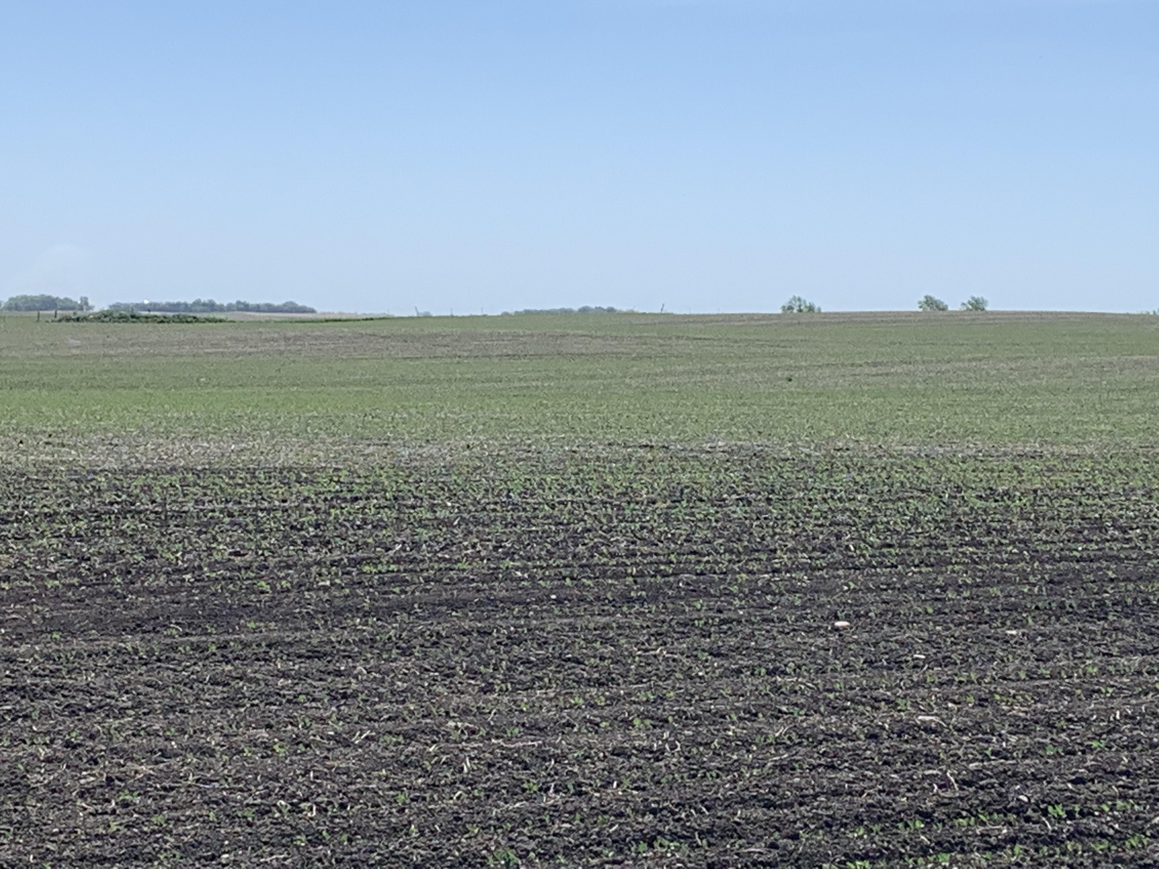 Afternoon Ag News, February 25, 2022: A look at the spring weather forecast