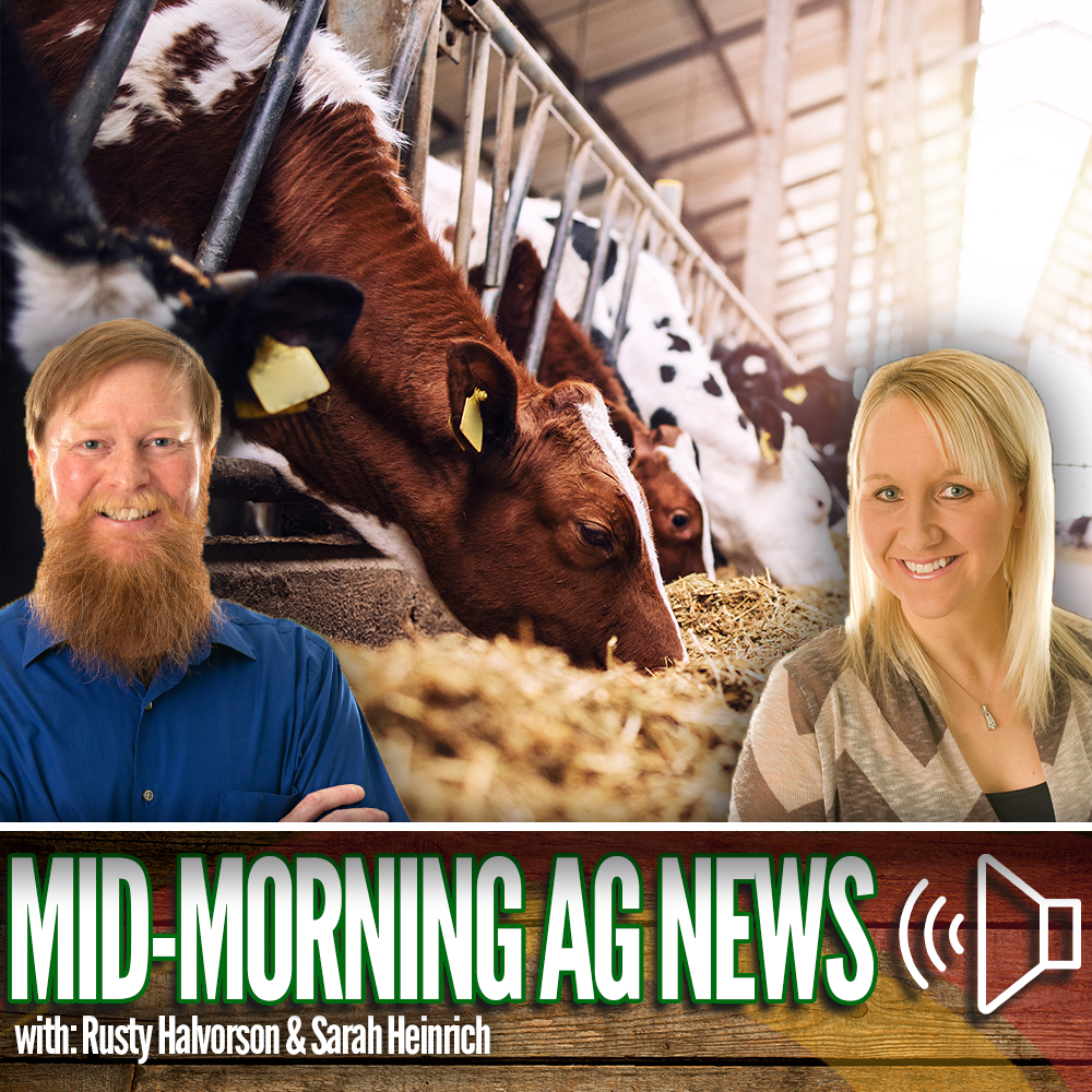 Mid-morning Ag News, June 26, 2026: The number of dairy heifer replacements remains exceptionally low episode artwork