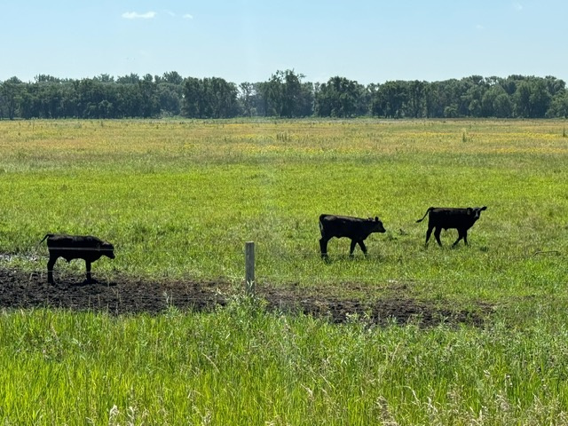 AGRI-BIZ March 2, 2025:  USDA layoffs, spring calf market, fighting avian flu, ag innovations and entrepreneurs