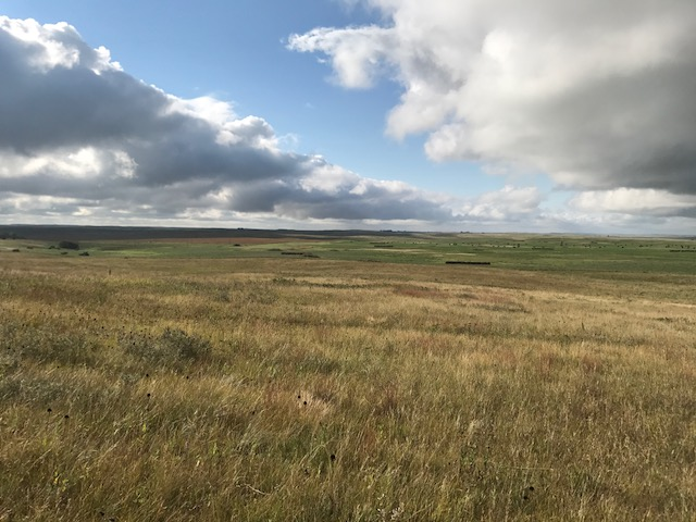 Mid-morning Ag News, April 7, 2026: American Farm Bureau Federation speaks to Grazing MOU episode artwork