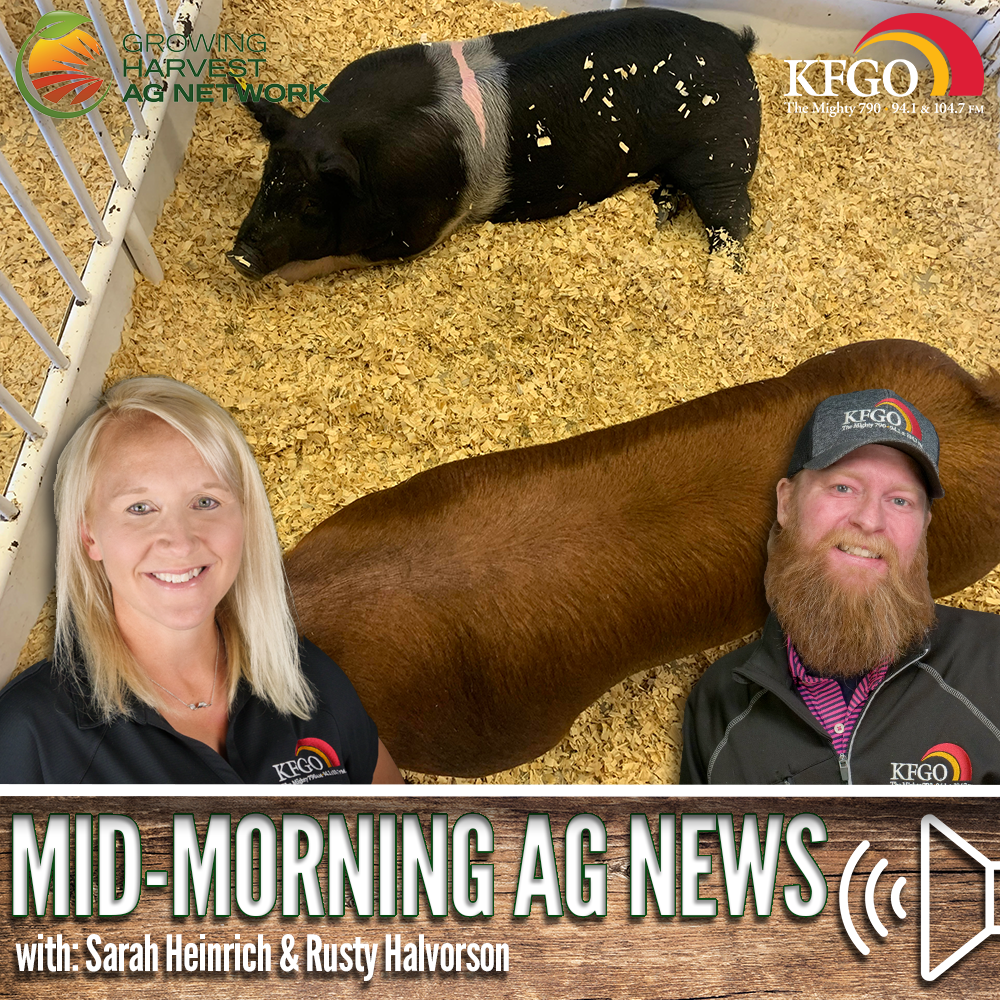 Mid-morning Ag News, May 14, 2026: One program is focused on efficient and safe animal handling episode artwork
