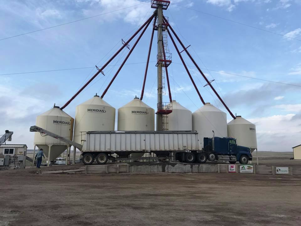 Mid-morning Ag News, May 29, 2026: A temporary federal waiver is keeping farmers moving during the spring season episode artwork