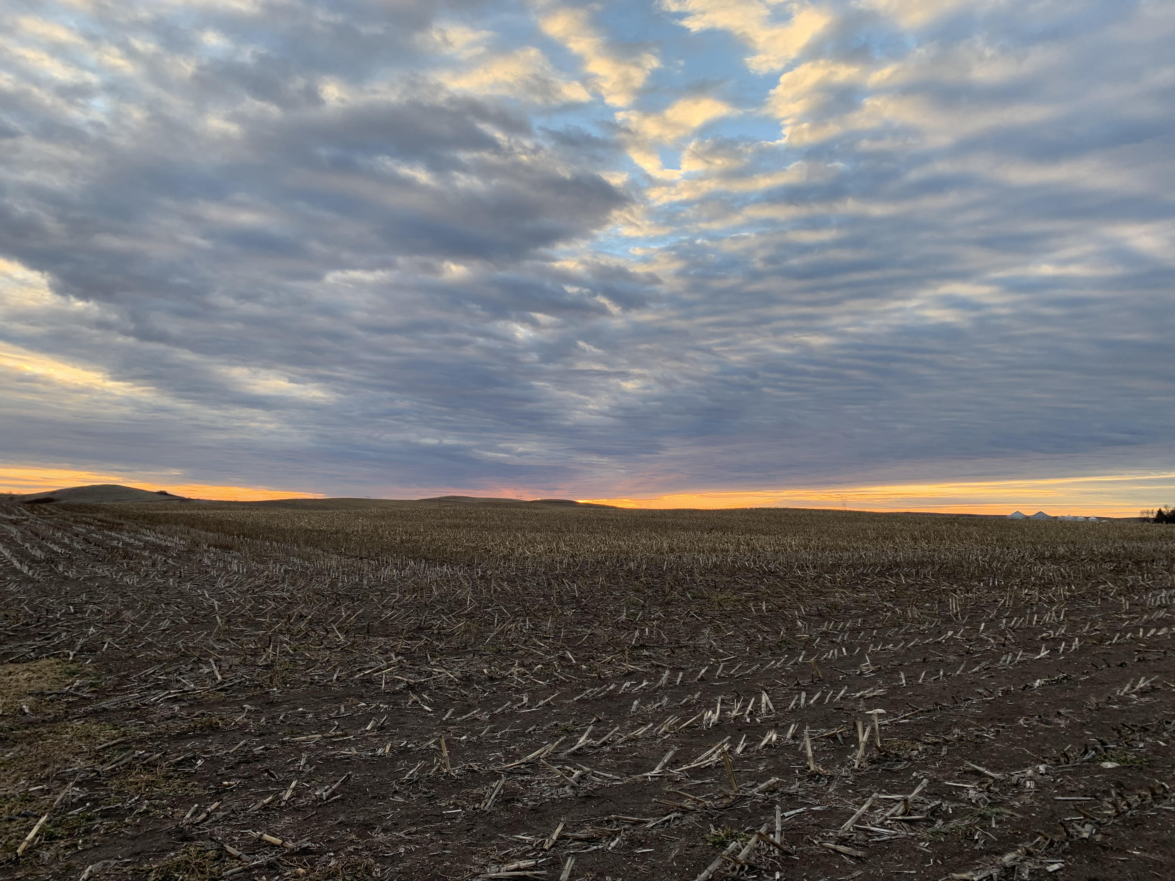 Morning Ag News, April 8, 2022: A look at next week's forecast