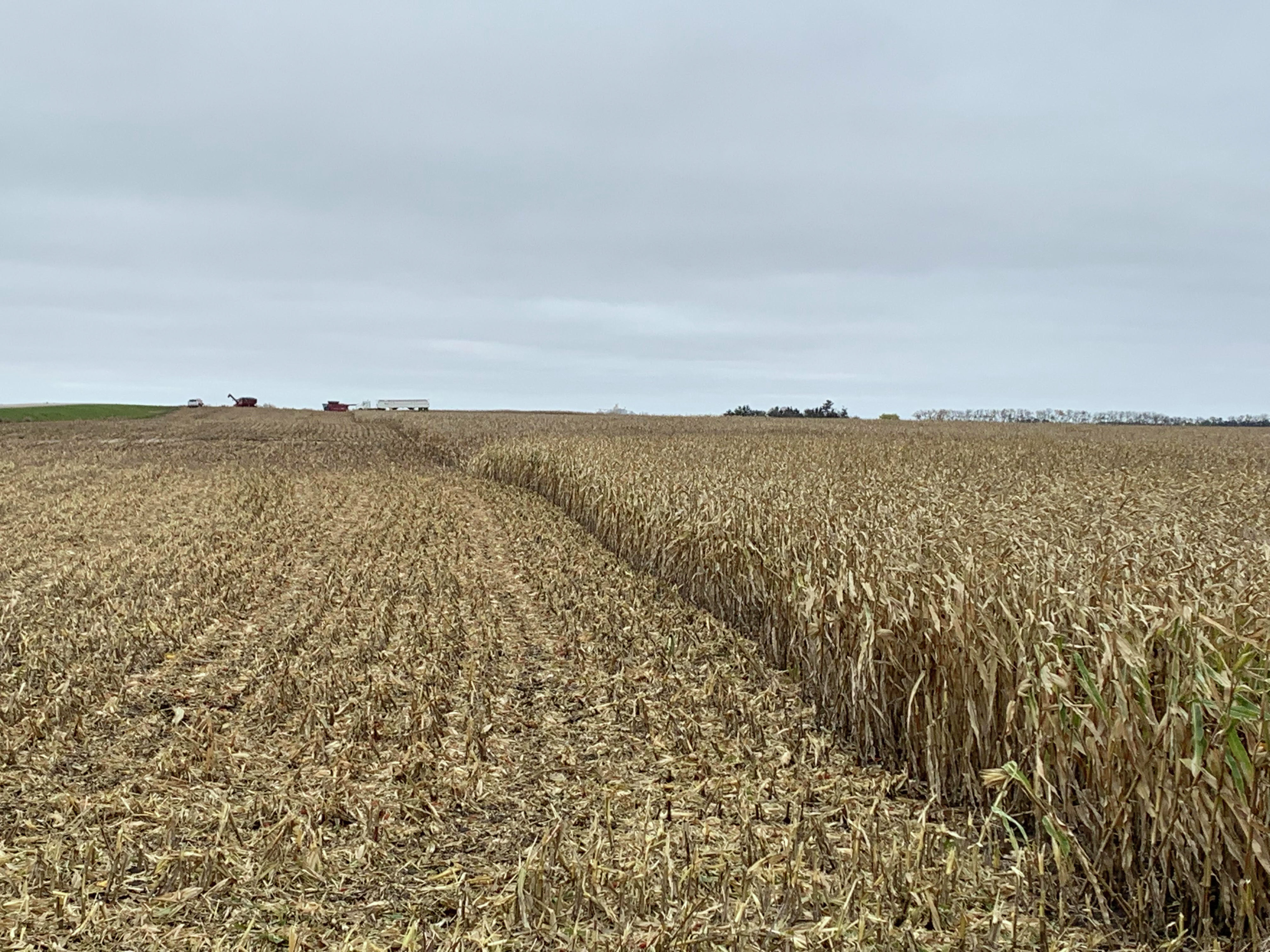 Mid-morning Ag News, April 20, 2026: Work continues to help the SAF industry thrive episode artwork
