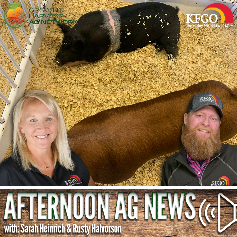 Afternoon Ag News, May 29, 2024: Protecting herds from H5N1