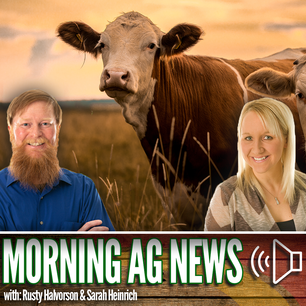 Morning Ag News, July 16, 2026: More large animal vets needed episode artwork