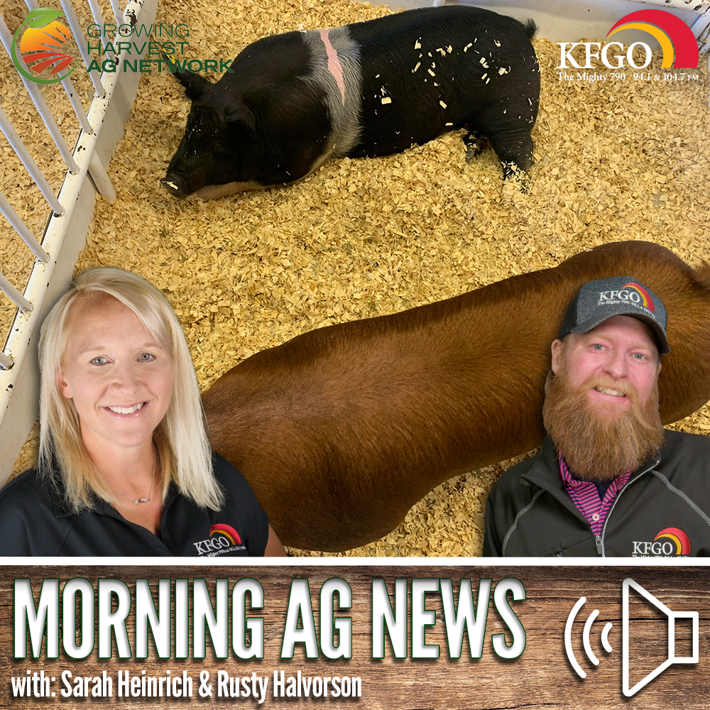 Morning Ag News, November 30, 2023: Report shows African Swine Fever impact on China's swine industry