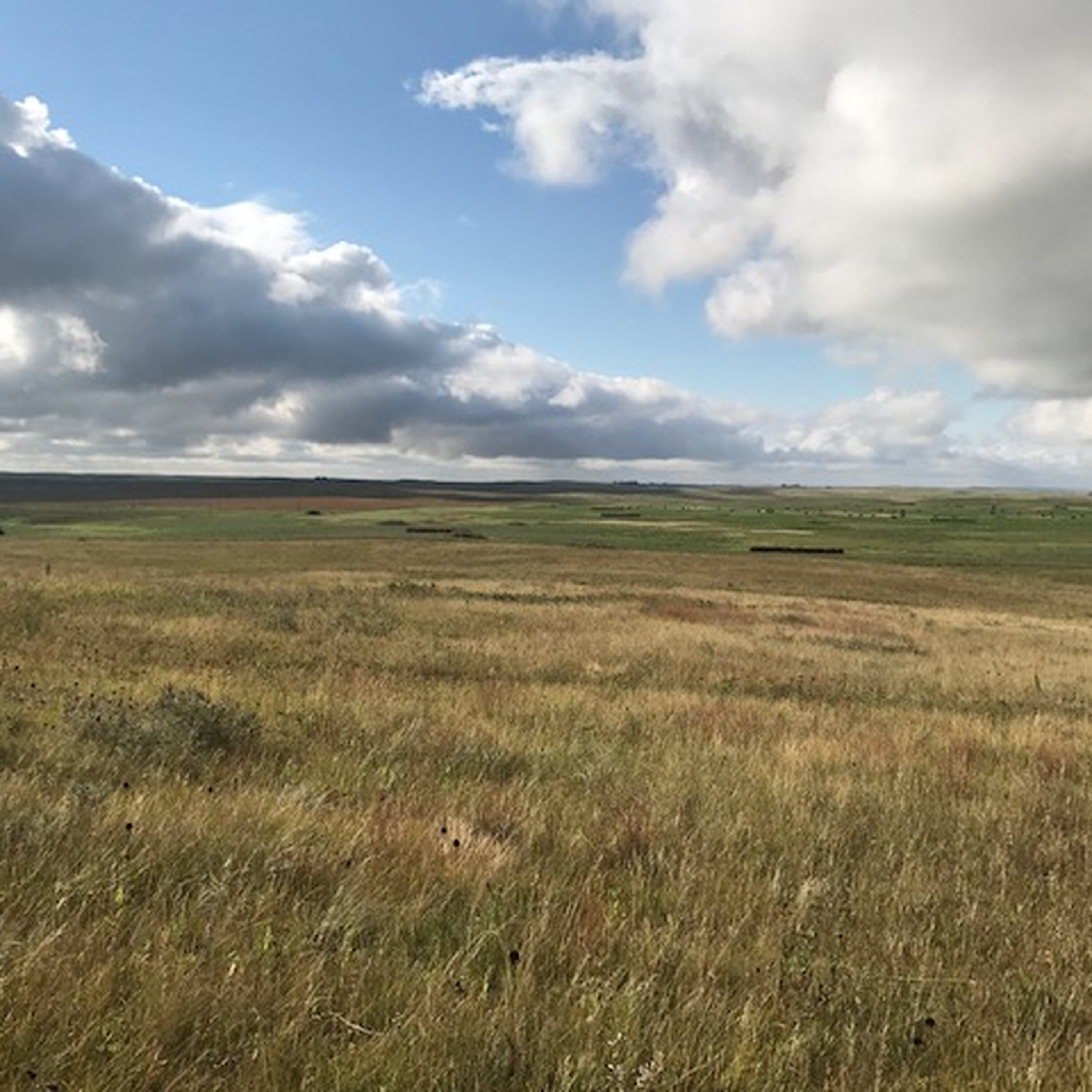 Mid-morning Ag News, July 10, 2026: USDA accepts more than 2 million CRP acres in 2026 episode artwork