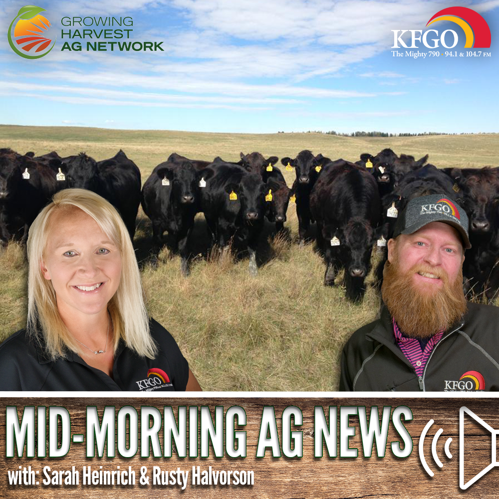 Mid-morning Ag News, November 6, 2023: Beef industry advocates wanted