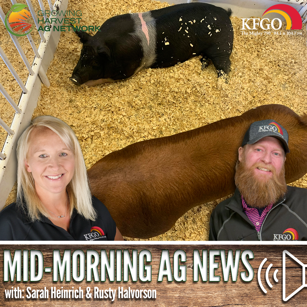 Mid-morning Ag News, November 28, 2023: Swine industry prepares for Prop 12 to take effect
