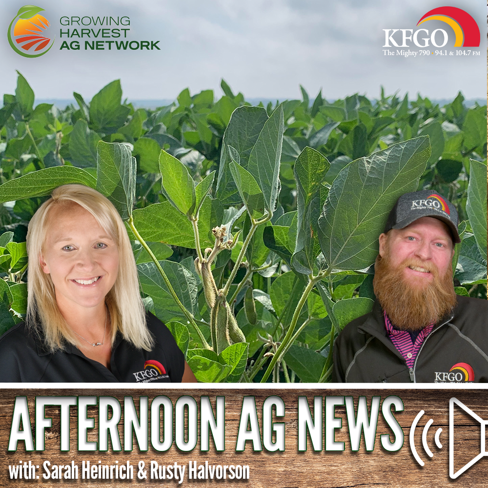 Afternoon Ag News, March 25, 2025: Argentina cuts soybean forecast