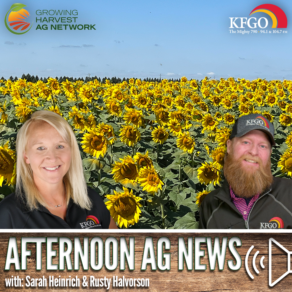 Afternoon Ag News, November 2, 2023: Sunflower harvest progress continues