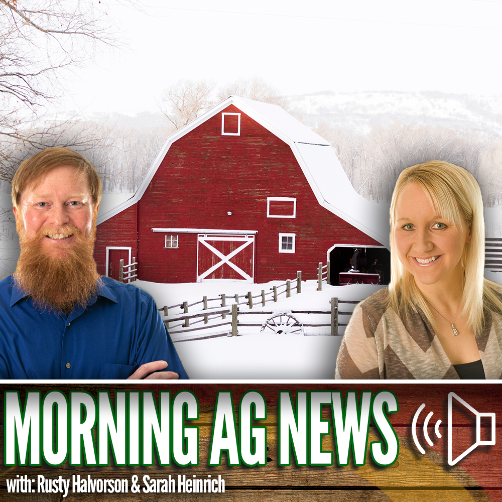 Morning Ag News, November 2, 2023: What an El Nino climate pattern means for livestock