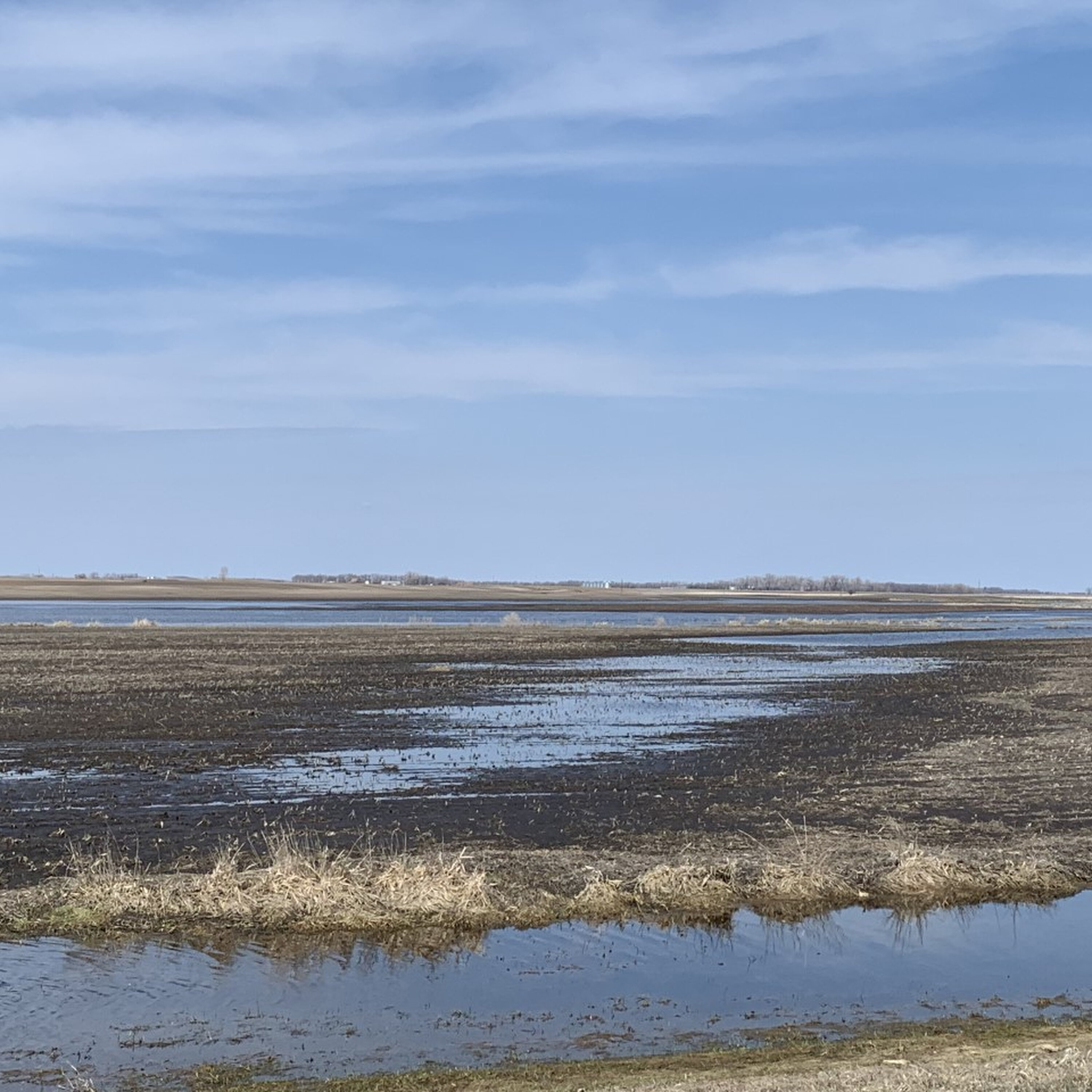 Mid-morning Ag News, November 19, 2025: EPA releases new rule on WOTUS Mid-morning Ag News, November 19, 2025: EPA releases new rule on WOTUS